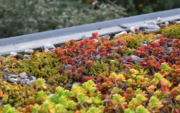 the cost of Groes Wen green roof installation